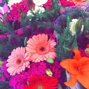 Meet your Posher, Samantha